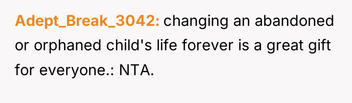 Adept_Break_3042 changing an abandoned or orphaned child's life forever is...
