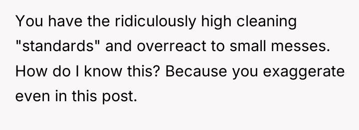 You have the ridiculously high cleaning "standards" and overreact to...