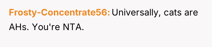 Frosty-Concentrate56 Universally, cats are AHs. You're NTA.