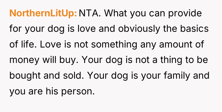 NorthernLitUp NTA. What you can provide for your dog is...