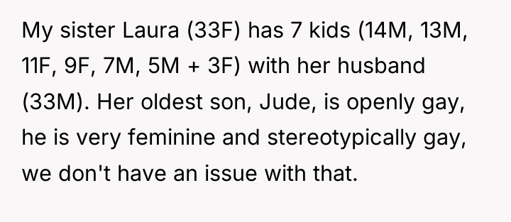 My sister Laura (33F) has 7 kids (14M, 13M, 11F,...