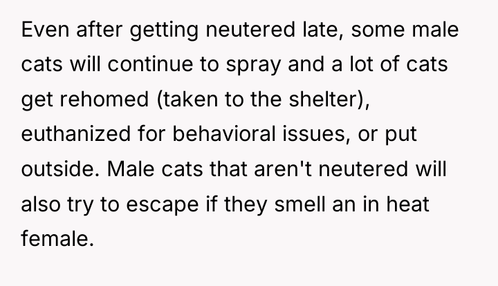 Even after getting neutered late, some male cats will continue...