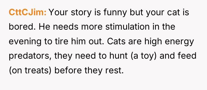 CttCJim Your story is funny but your cat is bored....