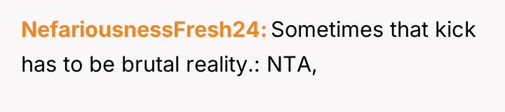 NefariousnessFresh24 Sometimes that kick has to be brutal reality.: NTA,