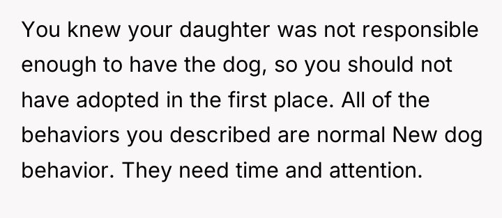 You knew your daughter was not responsible enough to have...