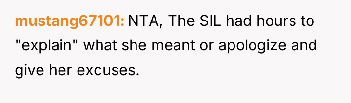 mustang67101 NTA, The SIL had hours to "explain" what she...