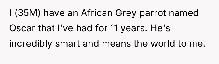 I (35M) have an African Grey parrot named Oscar that...