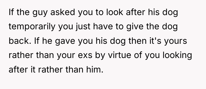 If the guy asked you to look after his dog...