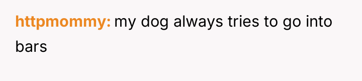 httpmommy my dog always tries to go into bars