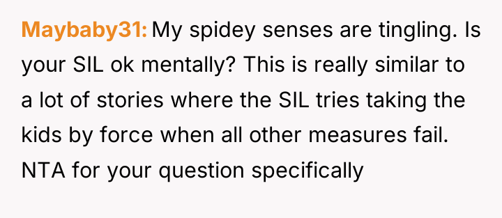 Maybaby31 My spidey senses are tingling. Is your SIL ok...
