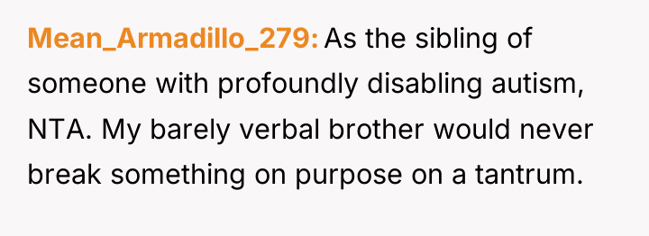 Mean_Armadillo_279 As the sibling of someone with profoundly disabling autism,...