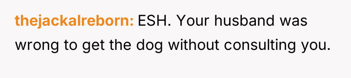 thejackalreborn ESH. Your husband was wrong to get the dog...