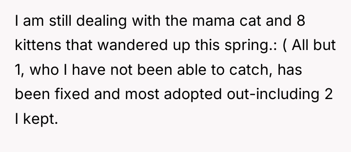 I am still dealing with the mama cat and 8...