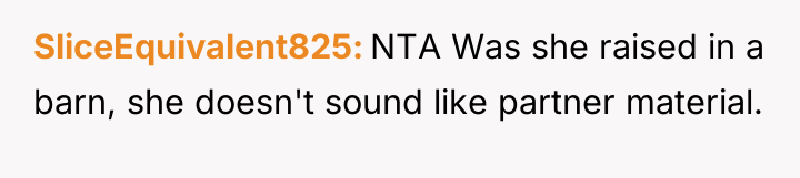 SliceEquivalent825 NTA Was she raised in a barn, she doesn't...