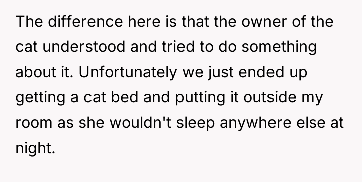 The difference here is that the owner of the cat...