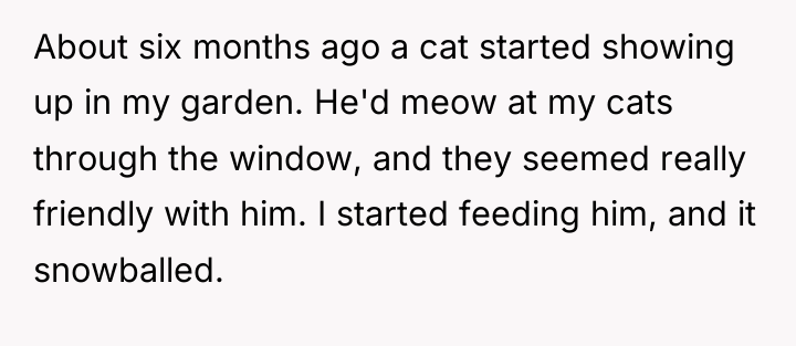 About six months ago a cat started showing up in...