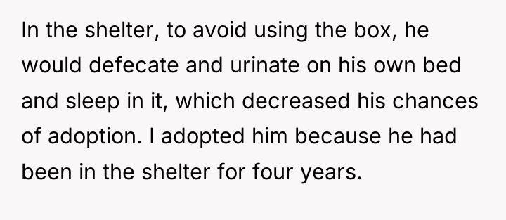 In the shelter, to avoid using the box, he would...