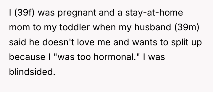 I (39f) was pregnant and a stay-at-home mom to my...