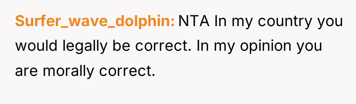 Surfer_wave_dolphin NTA In my country you would legally be correct....