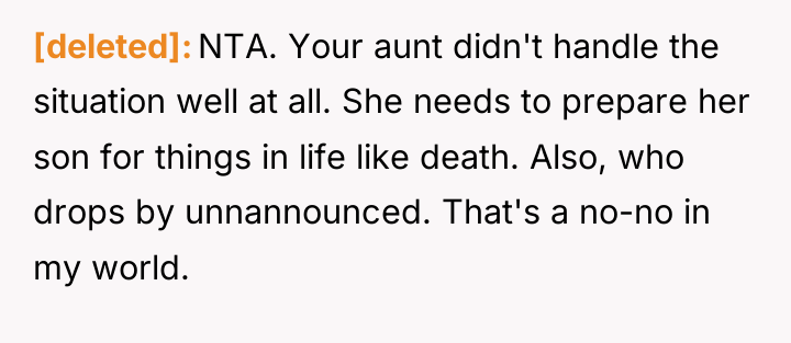 [deleted] NTA. Your aunt didn't handle the situation well at...