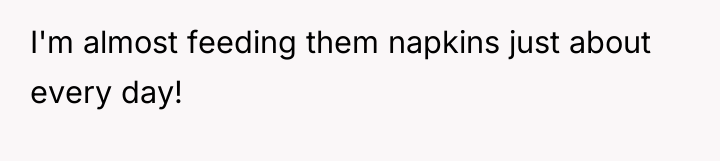 I'm almost feeding them napkins just about every day!