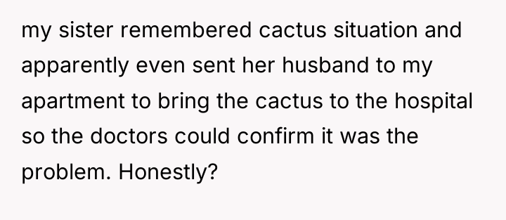 my sister remembered cactus situation and apparently even sent her...