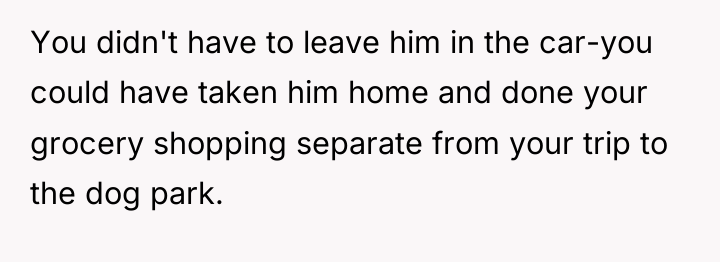 You didn't have to leave him in the car-you could...