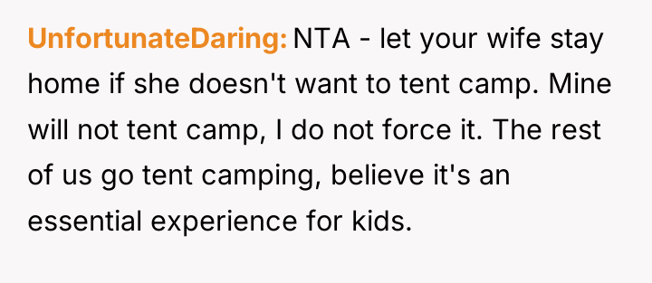 UnfortunateDaring NTA - let your wife stay home if she...