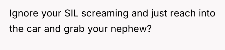 Ignore your SIL screaming and just reach into the car...