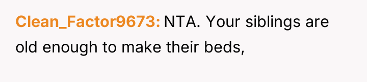 Clean_Factor9673 NTA. Your siblings are old enough to make their...