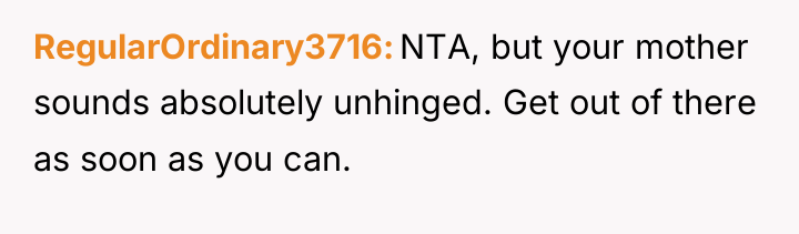 RegularOrdinary3716 NTA, but your mother sounds absolutely unhinged. Get out...