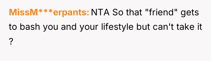 MissM***erpants NTA So that "friend" gets to bash you and...