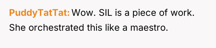 PuddyTatTat Wow. SIL is a piece of work. She orchestrated...