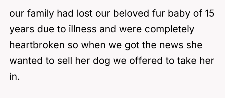 our family had lost our beloved fur baby of 15...