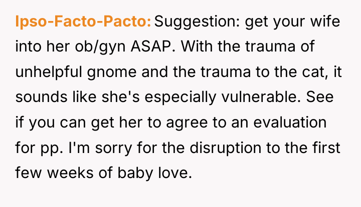 Ipso-Facto-Pacto Suggestion: get your wife into her ob/gyn ASAP. With...