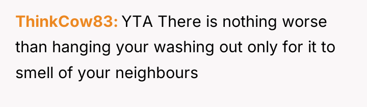 ThinkCow83 YTA There is nothing worse than hanging your washing...