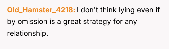 Old_Hamster_4218 I don't think lying even if by omission is...