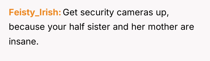 Feisty_Irish Get security cameras up, because your half sister and...