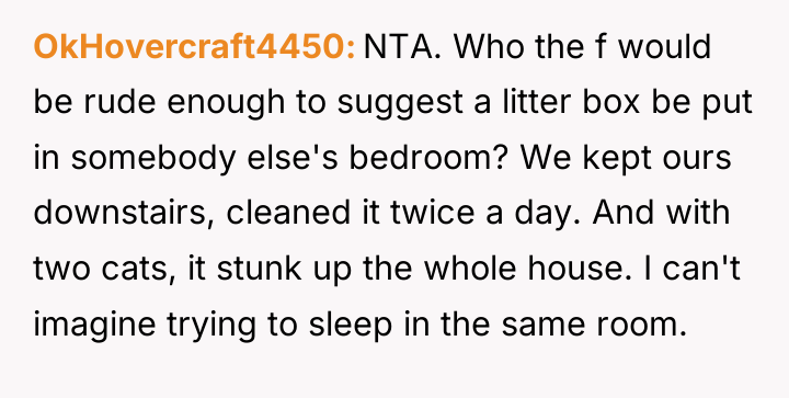 OkHovercraft4450 NTA. Who the f would be rude enough to...
