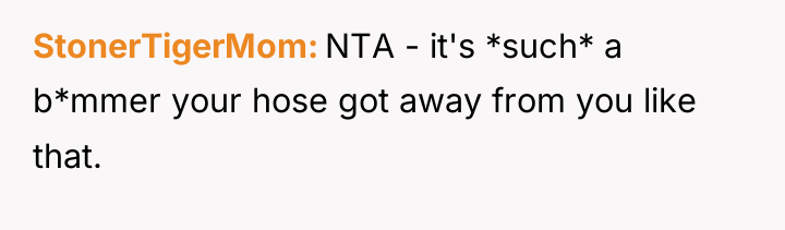 StonerTigerMom NTA - it's *such* a b*mmer your hose got...