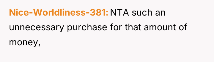 Nice-Worldliness-381 NTA such an unnecessary purchase for that amount of...