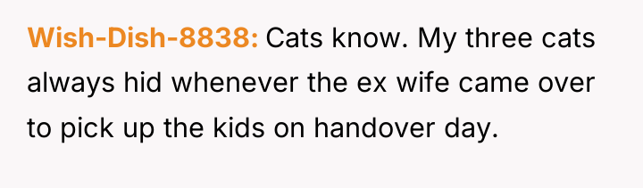 Wish-Dish-8838 Cats know. My three cats always hid whenever the...