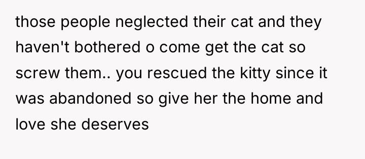 those people neglected their cat and they haven't bothered o...
