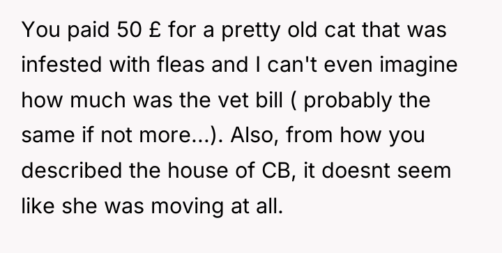 You paid 50 £ for a pretty old cat that...