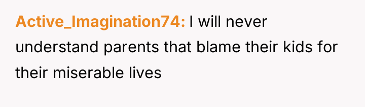 Active_Imagination74 I will never understand parents that blame their kids...
