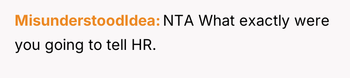 MisunderstoodIdea NTA What exactly were you going to tell HR.