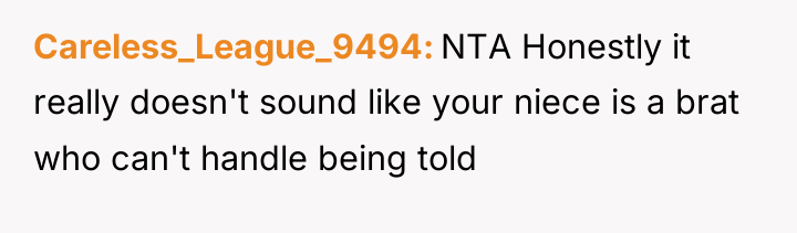 Careless_League_9494 NTA Honestly it really doesn't sound like your niece...