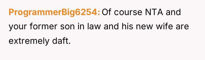 ProgrammerBig6254 Of course NTA and your former son in law...