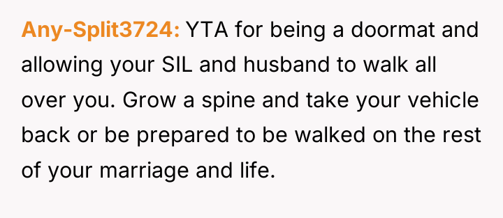 Any-Split3724 YTA for being a doormat and allowing your SIL...