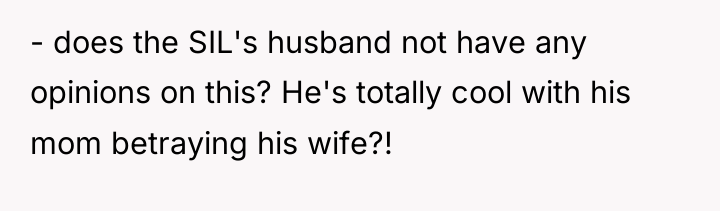 - does the SIL's husband not have any opinions on...